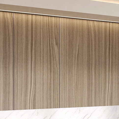 Фасады «Линеа Лайт» и «Линеа Шпон» - детальное фото № 9